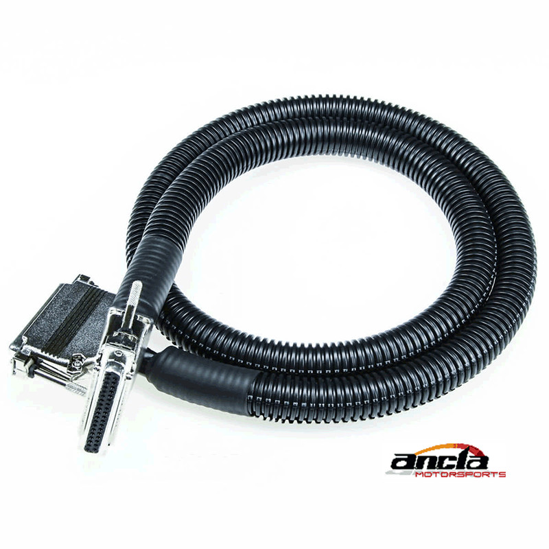 10' MegaSquirt Fuel Injection Wiring Harness (MS1 / MS2 / MS3)