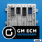 GM ECM Reprogram Service