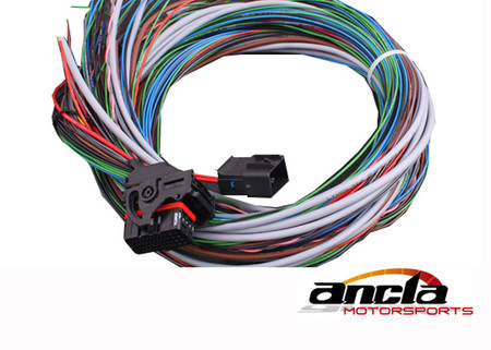 MaxxECU cables harnesses