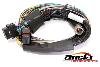 Elite 2000 Basic Universal Wire-in Harness