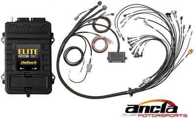 Elite 2500 T + Ford Coyote 5.0 Early Cam Solenoid Terminated Harness Kit