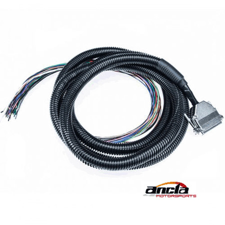 8′ MegaSquirt Wiring Harness (MS1/MS2/MS3 Ready)