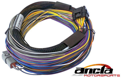 Elite 750 Basic Universal Wire-in Harness